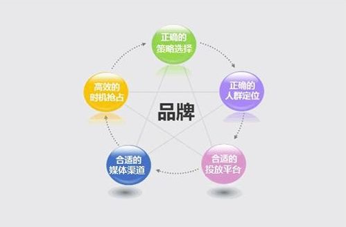 大岭山专业的网站优化一般怎么收费